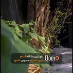 باشگاه بانوان زیرو
