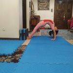 آکادمی ژیمناستیک فتحی