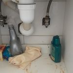 محمدرضا شکوری