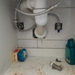 محمدرضا شکوری