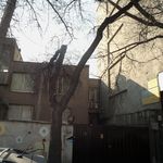 دکتر سعید رحیمی