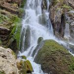 کتابخانه حضرت زهرا   موغار
