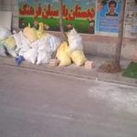 دبستان پسرانه غیردولتی پارسیان فرهنگ