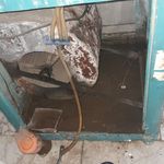 محمدرضا شکوری