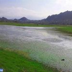 دریاچه کومله