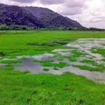 دریاچه کومله