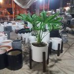 گلسرای سجاد