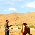 باشگاه سوارکاری امیران (آرمان نعمتی)