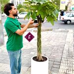 گلفروشی گل مریم شرق تهران