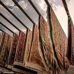 قالیشویی سرای پردیس seven