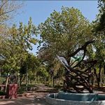 بوستان فدائیان اسلام