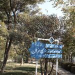 بوستان ارغوان