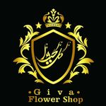 گل گیوا