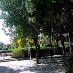 پارک جنگلی پیشکوه