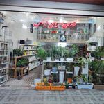 گلدان سرای آبنوس