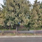 بوستان پردیسان