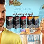 بینس نانو