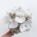 گلسرای تی‌تی