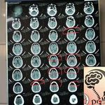 دکتر مهران مرادی