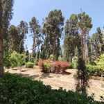 باغ فین