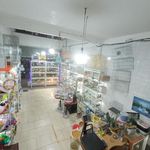 پرنده سرای تبریز کاکاتیل تکثیر انواع پرندگان زینتی
