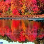 تالاب کیاکلایه