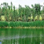 تالاب کیاکلایه