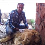 کلینیک دامپزشکی ژینا