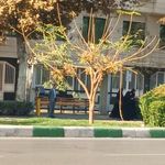 ایستگاه اتوبوس خیام جنوبی 24
