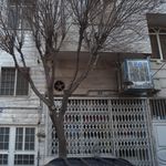 خشکشویی شاهانی