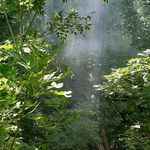 تفرجگاه انجیر زاو