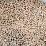 ادویه و داروخانه گیاهی داوه