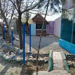 باغچه رستوران سمند