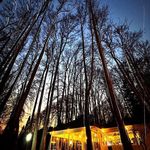 کافه سعد آباد