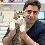 کلینیک دامپزشکان سبز