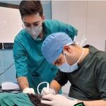 کلینیک دامپزشکان سبز