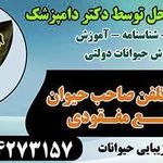 خدمات دامپزشکی در منازل