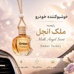 ظروف یکبار مرکزی البرز