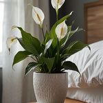 باغ گل عزیز