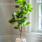 باغ گل عزیز