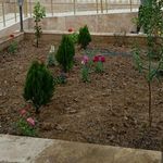 علی اکبر رحیمی گرگین ابادی