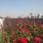 آبنمای بهشت زهرا