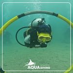 مدرسه بین المللی شنا و غواصی آکوا