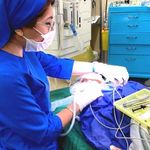 دکتر انوشه جنانی