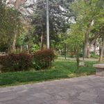 بوستان شهید با هنر
