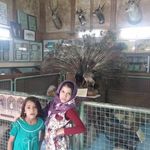 موزه تاریخ طبیعی اصفهان