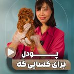 کیوت پت