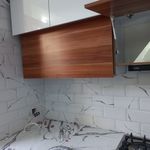 مهدی ولی الهی