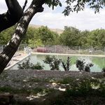 باغ سرهنگ احتشام