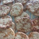 فتیر وبرساق سیدمحمد
